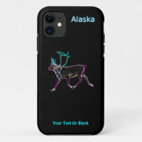 Elektrische Karibik - Alaska