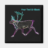 Elektrische Karibik Magnet (Vorne)