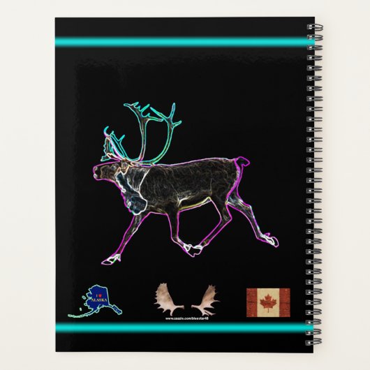 Elektrische Karibik Planer (Rückseite)