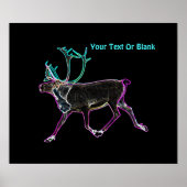 Elektrische Karibik Poster (Vorne)