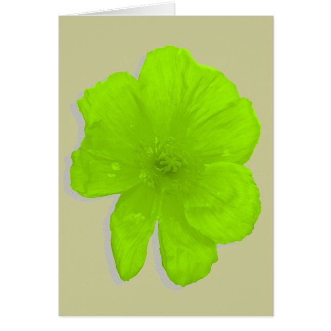 Elektrische Limon-/PopArt-Blume (Vorne)