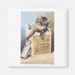 Elektrische Ölkatze Magnet