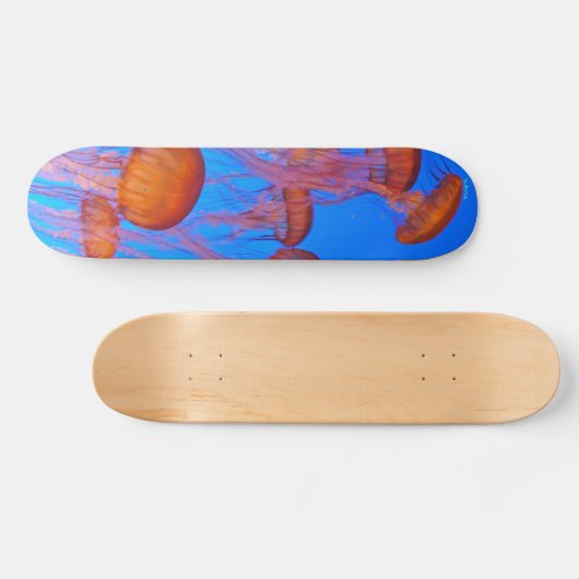 Elektrische Qualle Skateboard (Horizontal)