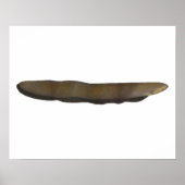 Elektrischer Eel Poster (Vorne)