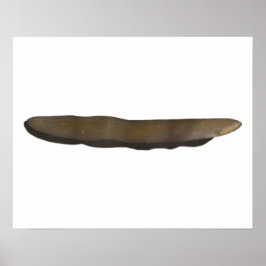 Elektrischer Eel Poster