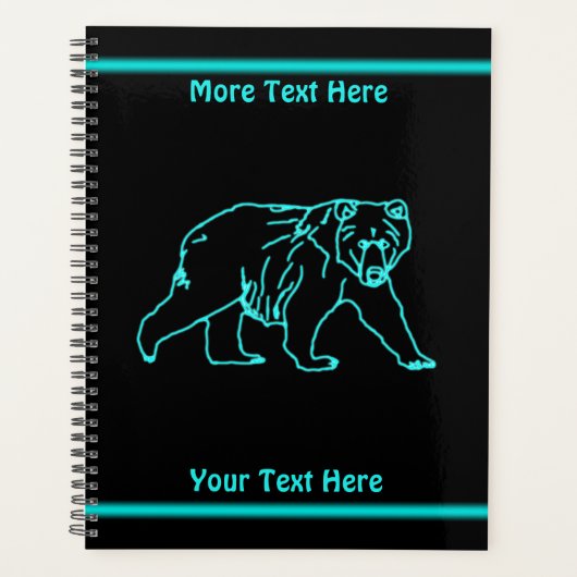 Elektrischer Kodiak-Bär Planer (Vorderseite)