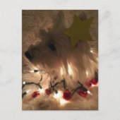 Elektrischer Lichtstrahl Postkarte (Vorderseite)