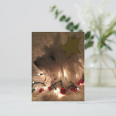 Elektrischer Lichtstrahl Postkarte (Stehend Vorderseite)