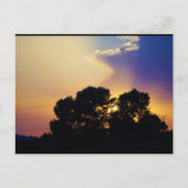 Elektrischer Sonnenuntergangs Himmel Postkarte (Vorderseite)