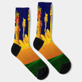 ELEKTRISCHER SONNENVERKEHR! SOCKEN (Rechts)