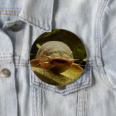 Elektrischer Wels Button (Beispiel)