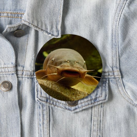 Elektrischer Wels Button (Beispiel)