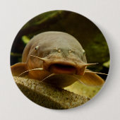 Elektrischer Wels Button (Vorderseite)