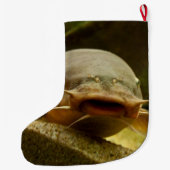 Elektrischer Wels Großer Weihnachtsstrumpf (Rückseite)