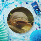 Elektrischer Wels Pappteller (Party)