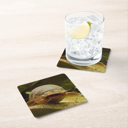 Elektrischer Wels Rechteckiger Pappuntersetzer (Vor Ort)