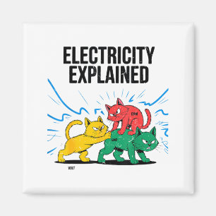 Elektrizität Erklärt Lustige Katze Physik Humor Wi Magnet