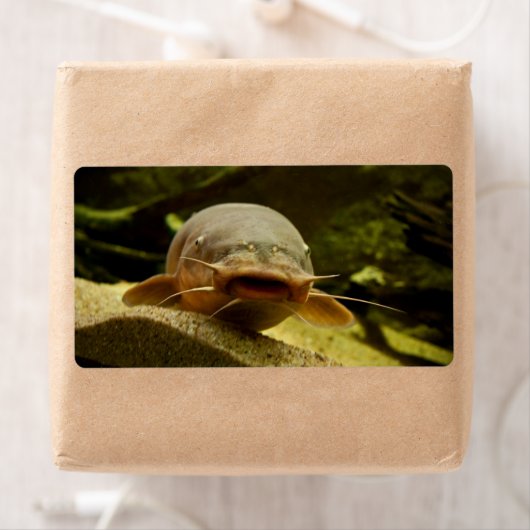 Elektrofisch (Insitu)