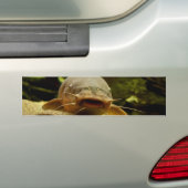 Elektrofisch Autoaufkleber (Auf Auto)