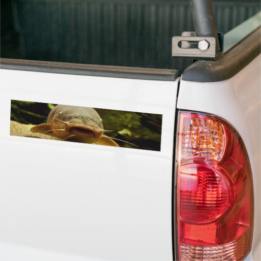 Elektrofisch Autoaufkleber (Auf Lkw)