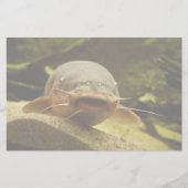 Elektrofisch Briefpapier (Vorderseite)