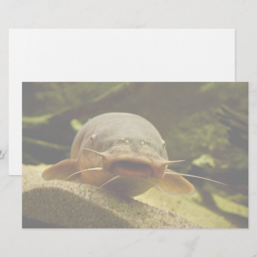 Elektrofisch Briefpapier (Vorne/Hinten)