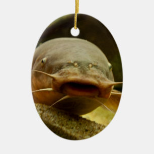 Elektrofisch Keramikornament