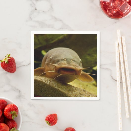 Elektrofisch Serviette (Beispiel)