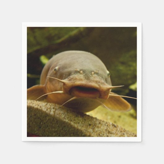 Elektrofisch Serviette (Vorderseite)