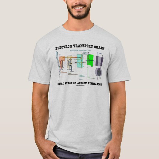 Elektron-Transport-Ketten-abschließende Bühne von T-Shirt (Vorderseite)