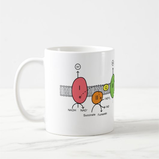 Elektron-Transport-Ketten-Tasse Kaffeetasse (Links)