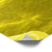 Elektronenmikrograph mit Salmonella Typhimurium Poster (Ecke)