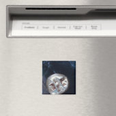 Elektronenstatistik, c.600 v. Chr. Magnet (In Situ (Geschirrspüler))