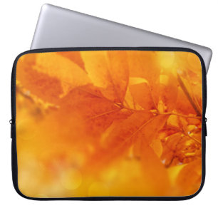 Elektronik-Beutel farbige Herbstleuchten Laptopschutzhülle