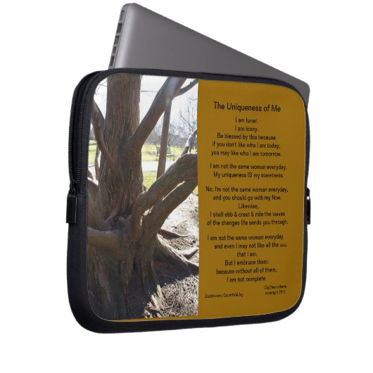 Elektronik-Fall Laptopschutzhülle (Vorne Rechts)