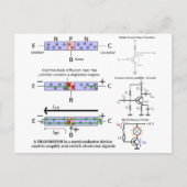 Elektronische Signalverstärkung Transistoren-Halbl Postkarte (Vorderseite)