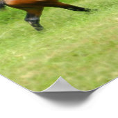 Elektrorose Poster (Ecke)