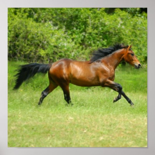 Elektrorose Poster (Vorne)