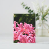 Elektroüberraschung Lilien Postkarte (Stehend Vorderseite)