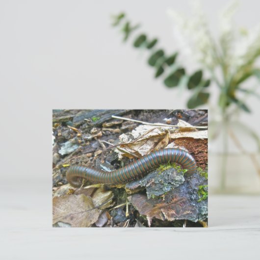 Elemente der Millipenserie Postkarte (Stehend Vorderseite)