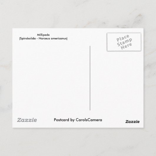 Elemente der Millipenserie Postkarte (Rückseite)