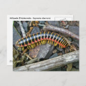 Elemente der Millipenserie Postkarte (Vorne/Hinten)