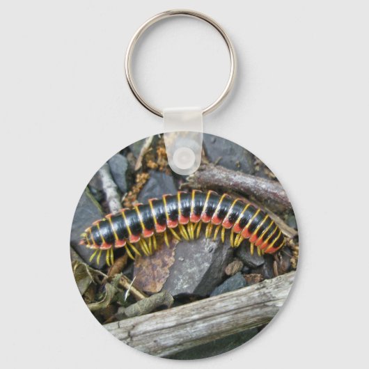 Elemente der Millipenserie Schlüsselanhänger (Vorderseite)