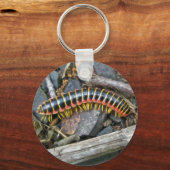 Elemente der Millipenserie Schlüsselanhänger (Vorderseite)