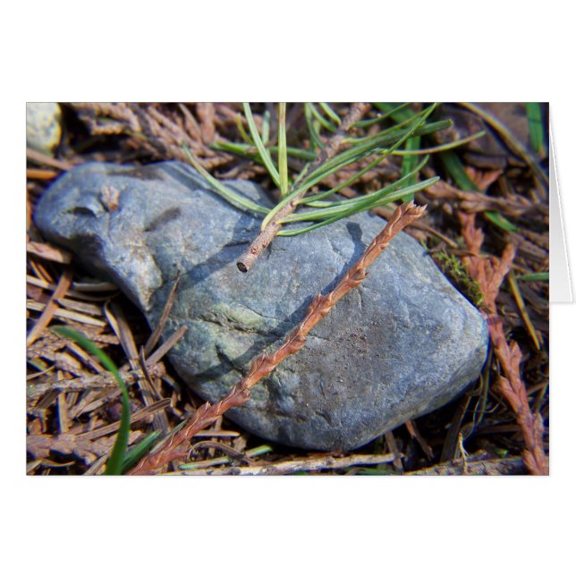 Elemente der Natur (Vorderseite (Horizontal))