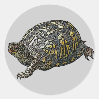 Elemente zur Koordination von Ostkasten-Schildkröt Runder Aufkleber