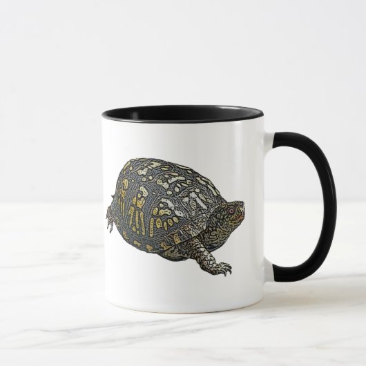 Elemente zur Koordination von Ostkasten-Schildkröt Tasse (Rechts)