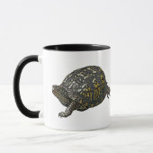 Elemente zur Koordination von Ostkasten-Schildkröt Tasse (Links)