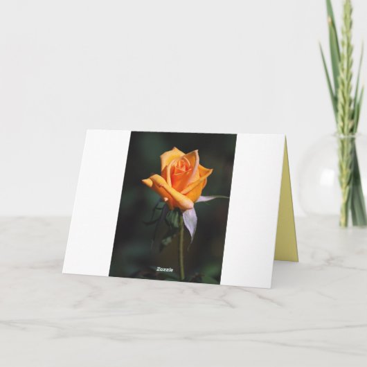 Elena Happy Birthday Yellow Rose With Honeybees Karte (Rückseite)