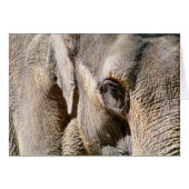 ELEPHANKARTE (Vorderseite (Horizontal))